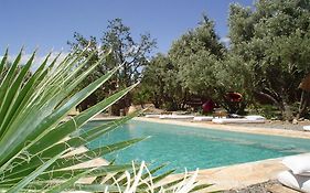 Les Jardins De Skoura